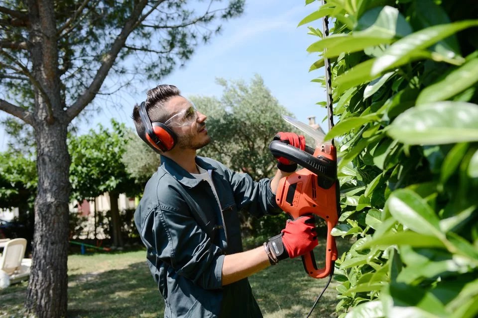 Ein Mann schneidet mit einer elektronische Heckenschere eine Hecke. Beacons geben den Standort und die Maschinenstunden direkt an geoCapture weiter