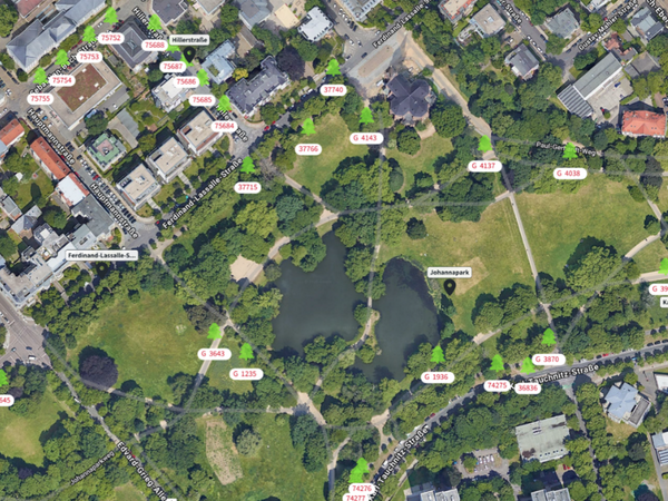 Baumbewässerung Plan in geoCapture mit miamapo