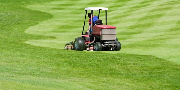 Ein Grünanlagenfahrzeug mäht den Rasen eines Golfplatzes. GPS-Sender im Fahrzeug erfassen die Einsatzstunden und den genauen Standort