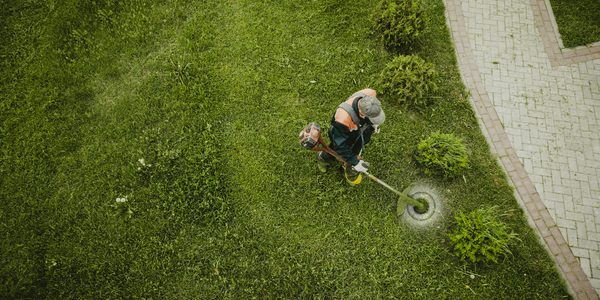 Tour planning garden maintenance