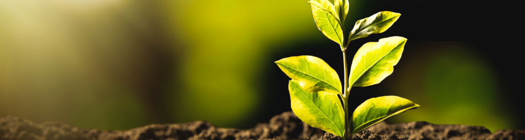 NACHHALTIGKEITSBERICHT NACH CSRD