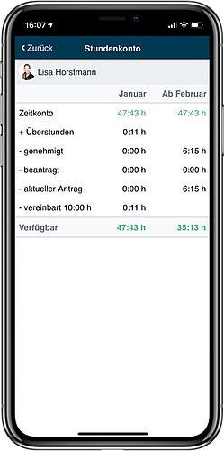 Die Anzeige des Stundenkontos in der geoCapture App