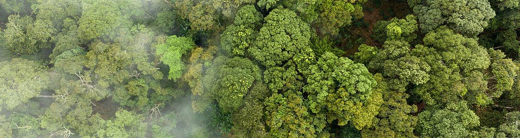 Den Co2-Ausstoß im Blick behalten mit CO2control.